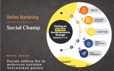 Social Champ – Darum sollten Sie in mehreren sozialen Netzwerken posten