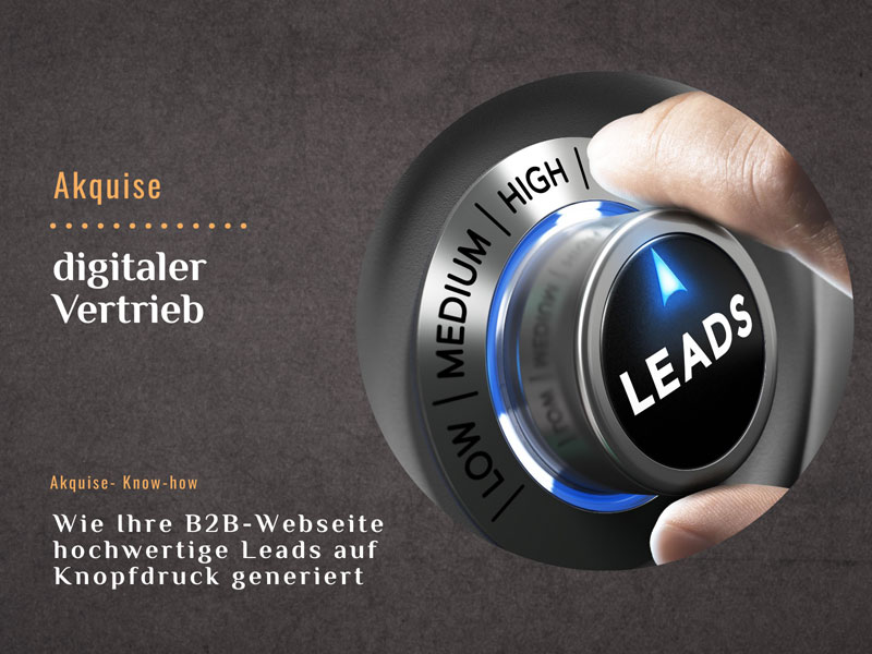Wie Ihre B2B-Webseite hochwertige Leads auf Knopfdruck generiert